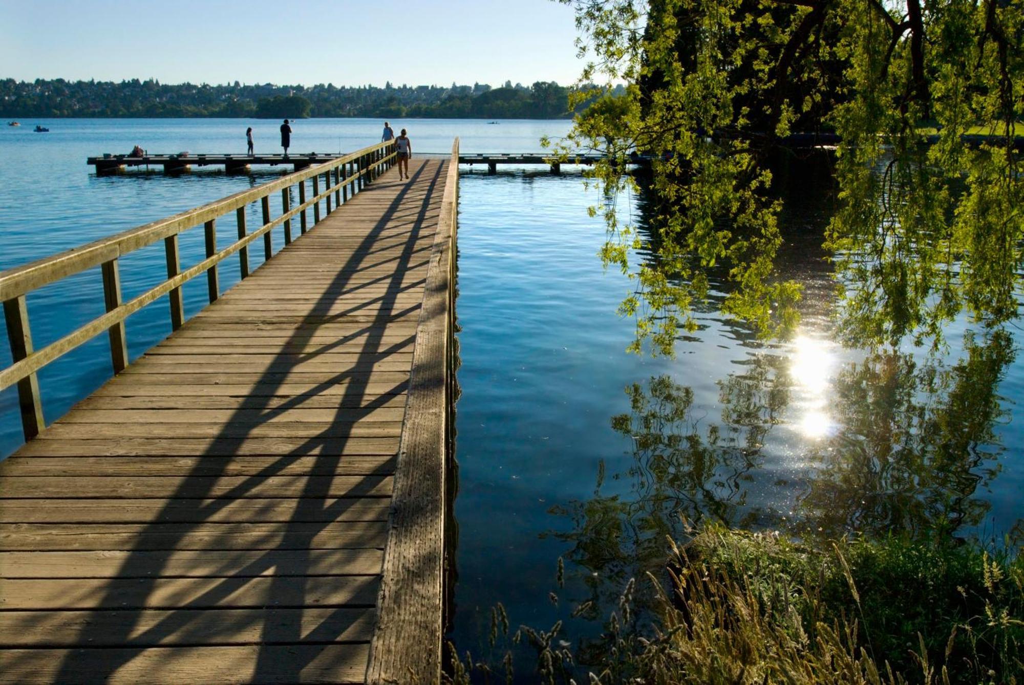 Green Lake 1St Line Home D Full Modern Remodeled Seattle Dış mekan fotoğraf